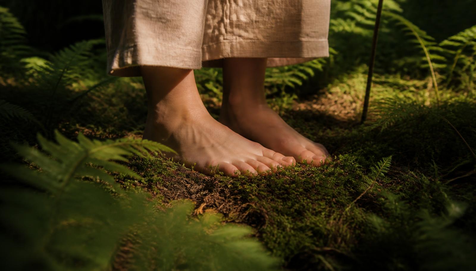 Bare feet standing on soft moss and forest ground in warm sunlight